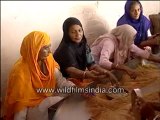 Inside the Golden Temple langar