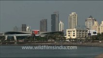 695.Crows swarm the Bandra Worli Sea Link bridge!.mov