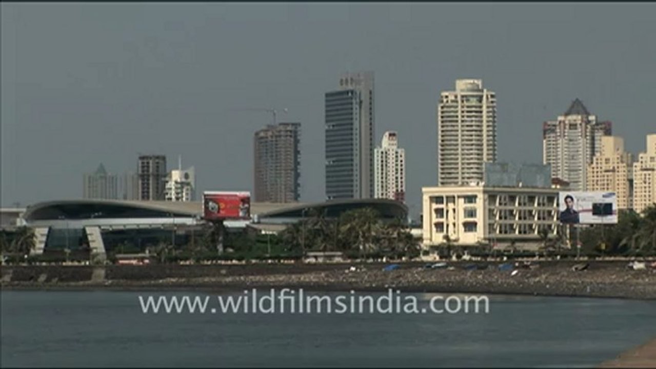 695.Crows swarm the Bandra Worli Sea Link bridge!.mov