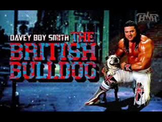 The British Bulldog WWE Hall Of Fame 2013_(360p)