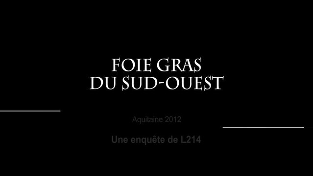 Repas du réveillon - bien choisir le foie gras