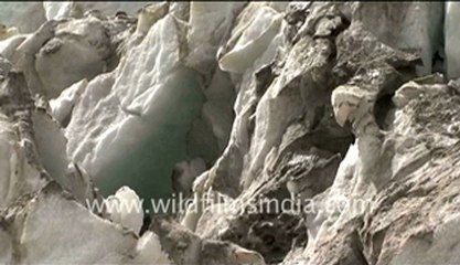 736.Gangotri Glacier.mp4