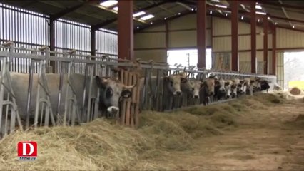 Premier prix national des prairies fleuries