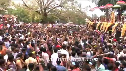 Elephant Festival in India