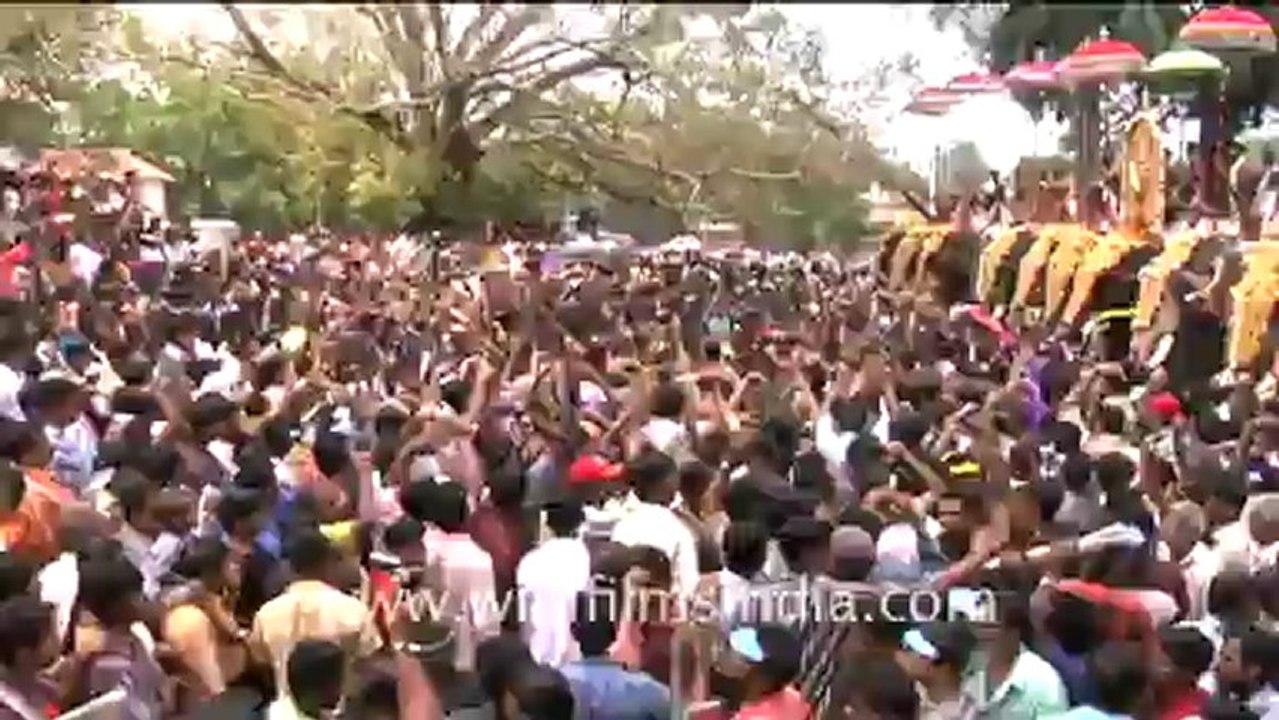 Elephant Festival in India