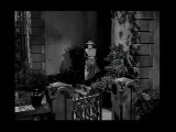 Fritz Lang : la chasse des Prédateurs