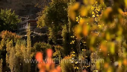 Beautiful Landscape of Ladakh