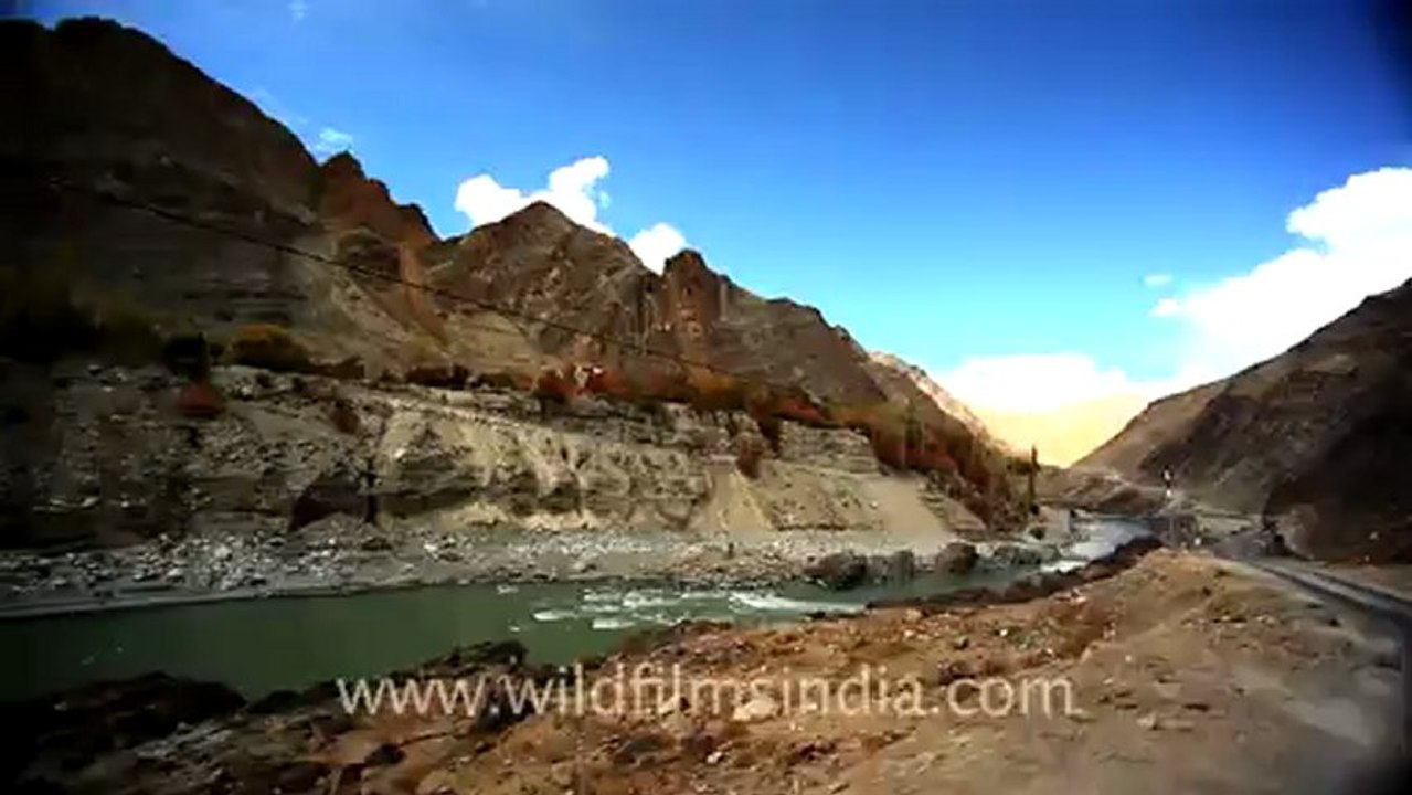 Indus River Ladakh