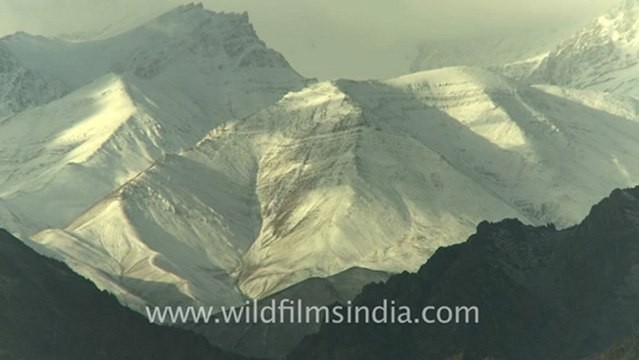 Ladakh snow covered mountains