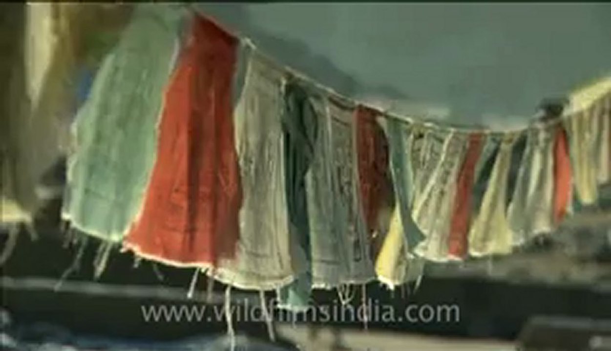893.Ladakh.mp4