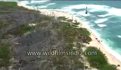Tsunami damage along Andaman Islands