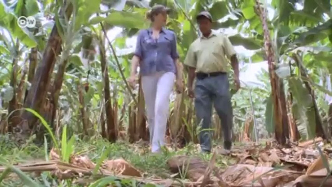 Perú: los agricultores se protegen del clima | Global 3000