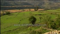 Agricultural land-MPEG-4 800Kbps.mp4
