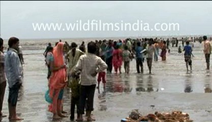 Alang-MPEG-4 800Kbps.mp4