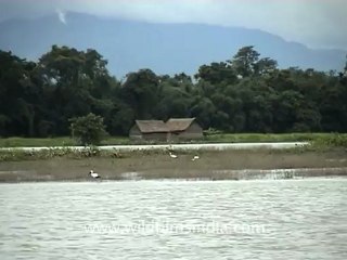 Assam-flood-no name-1.mov