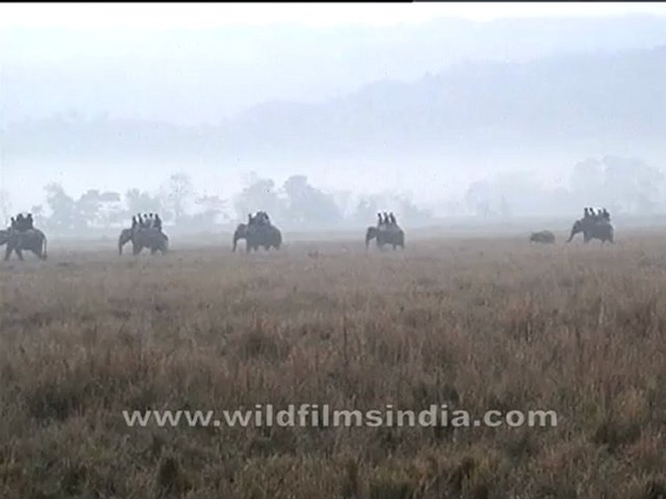 Assam-mdv-895-1.mov