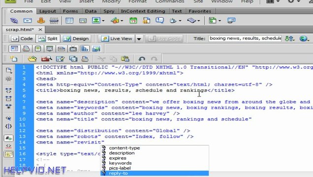 Adding Meta Tags to website