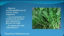 Dieta para una persona Diabetica - Crea tu propia dieta para una persona diabetica