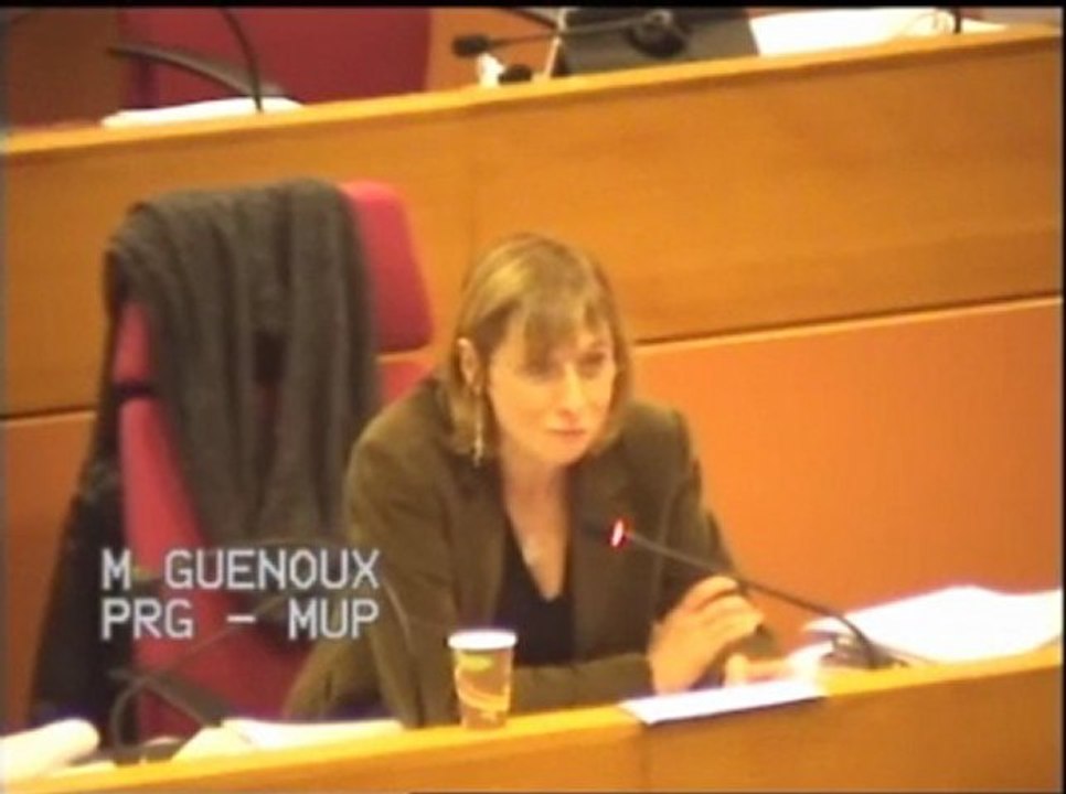 Budget 2013 - Formation Professionnelle - Intervention de Muriel Guenoux (PRG - MUP)