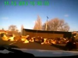 Truck Full of Cows Flips Over in Crash and Sends Cows Flying