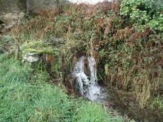 Le déluge, avec Félicité et Henzo