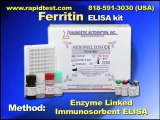 Ferritin ELISA kit