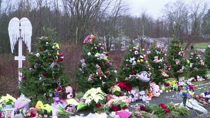 Comisión contra armas en marcha