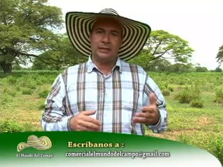 Asosimmental Sugaberrio Diciembre 21 de 2012 web