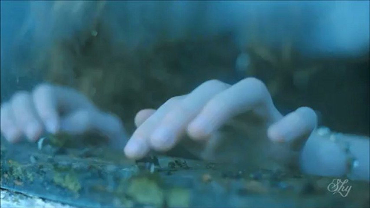 Hope-Trailer