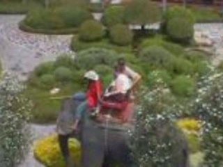 Nong Nooch Tropical Garden in Thailand