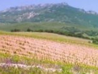 Urlaub auf der Mittelmeerinsel Korsika