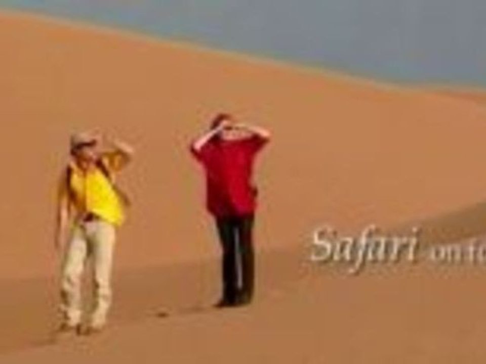 Dubai - Wüstenimpressionen