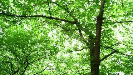 Présentation du Cyber-shot RX100 par Sony