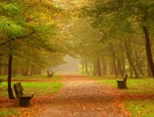 İsmail Özden - Nazlı yar gelsene