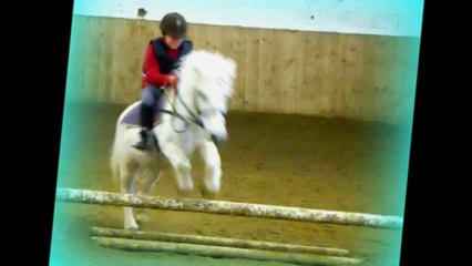 Une histoire d'amour entre un poney et un enfant