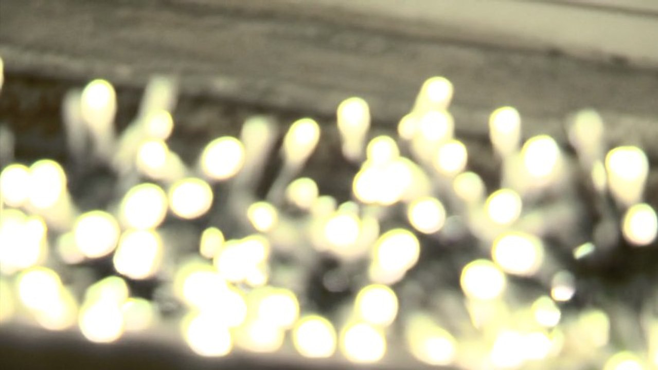 Faites des Lumières 2°édition - Bozarts (Montpellier)