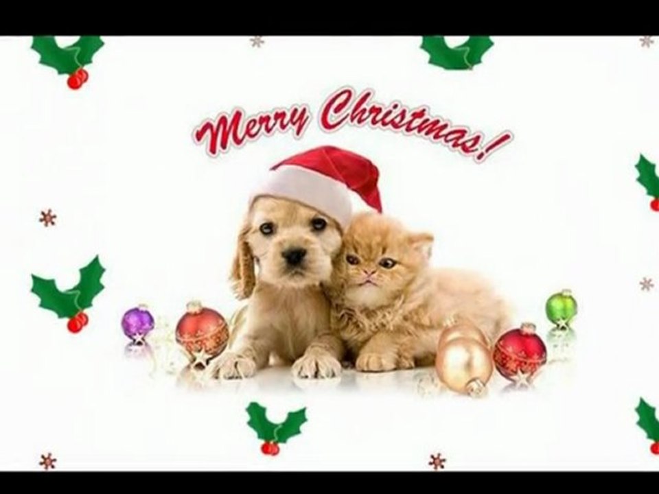 ❦Noël des Animaux❦