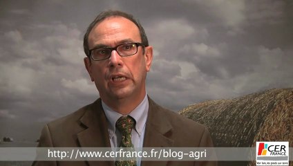 Le maïs au centre de l'évolution du marché par Thierry Lemaître