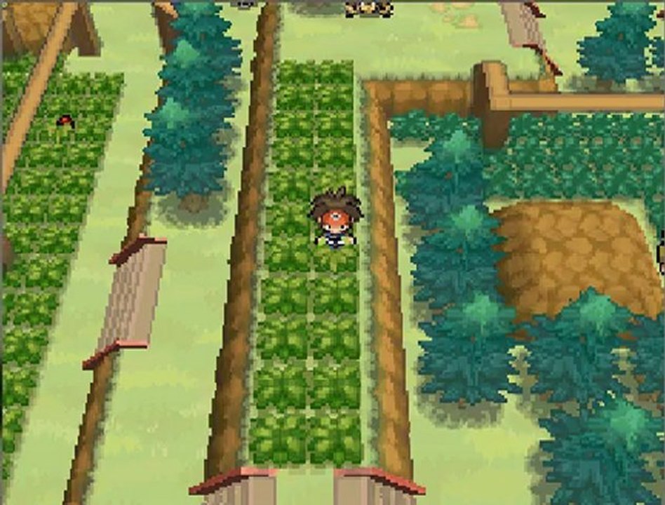 let's play pokémon noir 2 épisode 28 la route 22