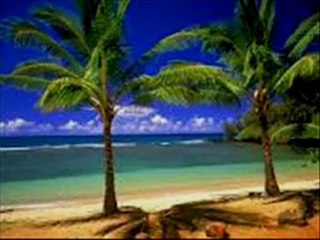 diaporama, systeme, videos, musique, d' iles paradisiaque.