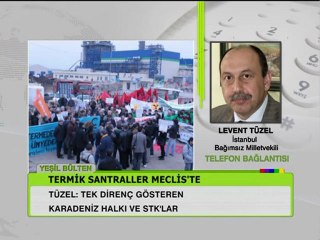 Levent Tüzel Termik Santralleri Meclis'e Taşıdı