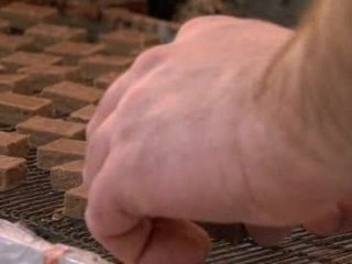 Dessine-moi un Métier : Comment on devient Chocolatier ?