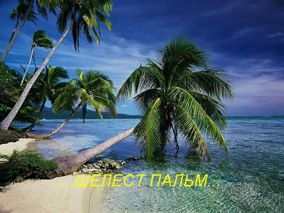 Мой идеальный день