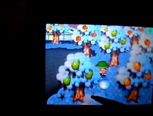 Bonhomme de neige parfait - Animal Crossing Wild World