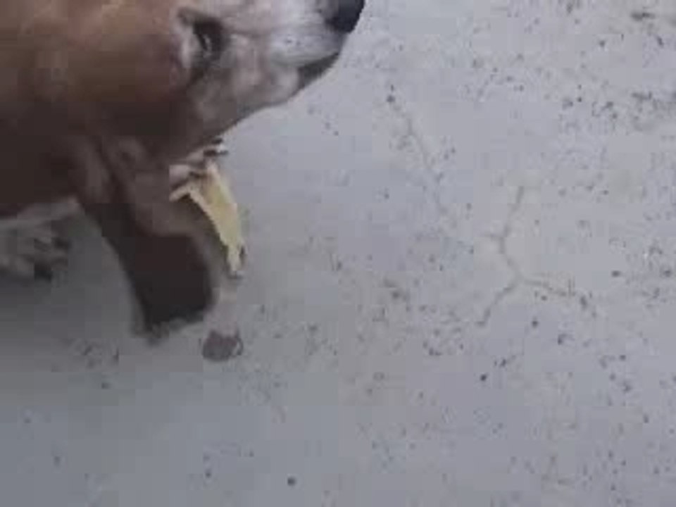 Snacking