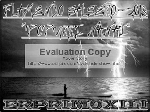 FLAMENCO SALSERO.-2013 NANAI NAI NA POPURRI MIXX DJXILY