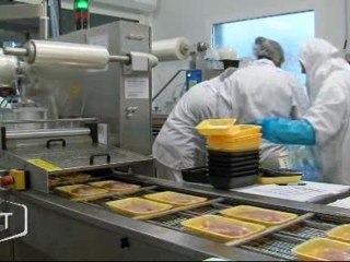 Volailles : Dernière ligne droite pour les professionnels (Vendée)