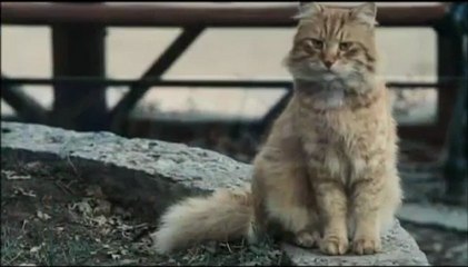 Seda Sayan Ft Coşkun Yıldız-Tutuklu 2012