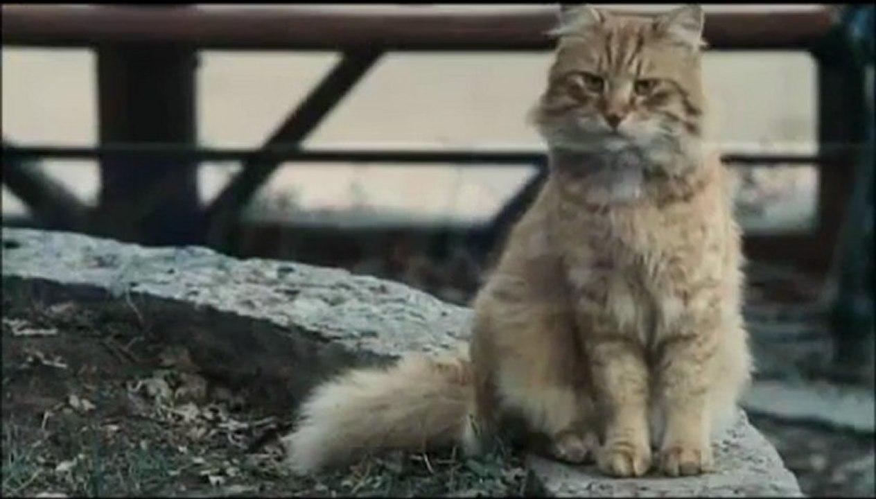 Seda Sayan Ft Coşkun Yıldız-Tutuklu 2012