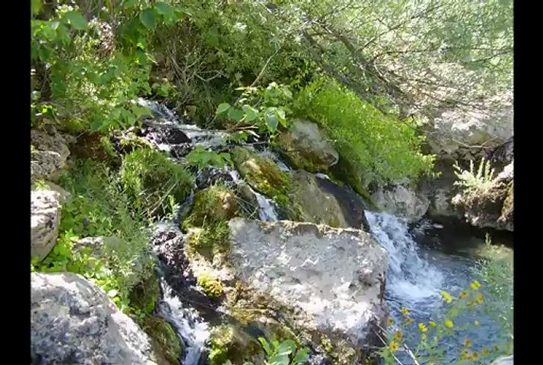 HÜSEYİN KARAKUŞ - Sen Munzursun